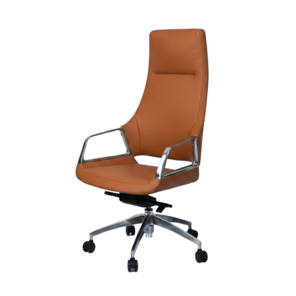 ALEXA CHAIR - AX 01