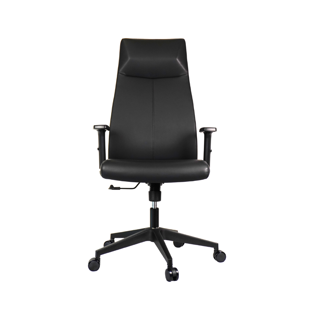 MATRIX CHAIR - MX 01