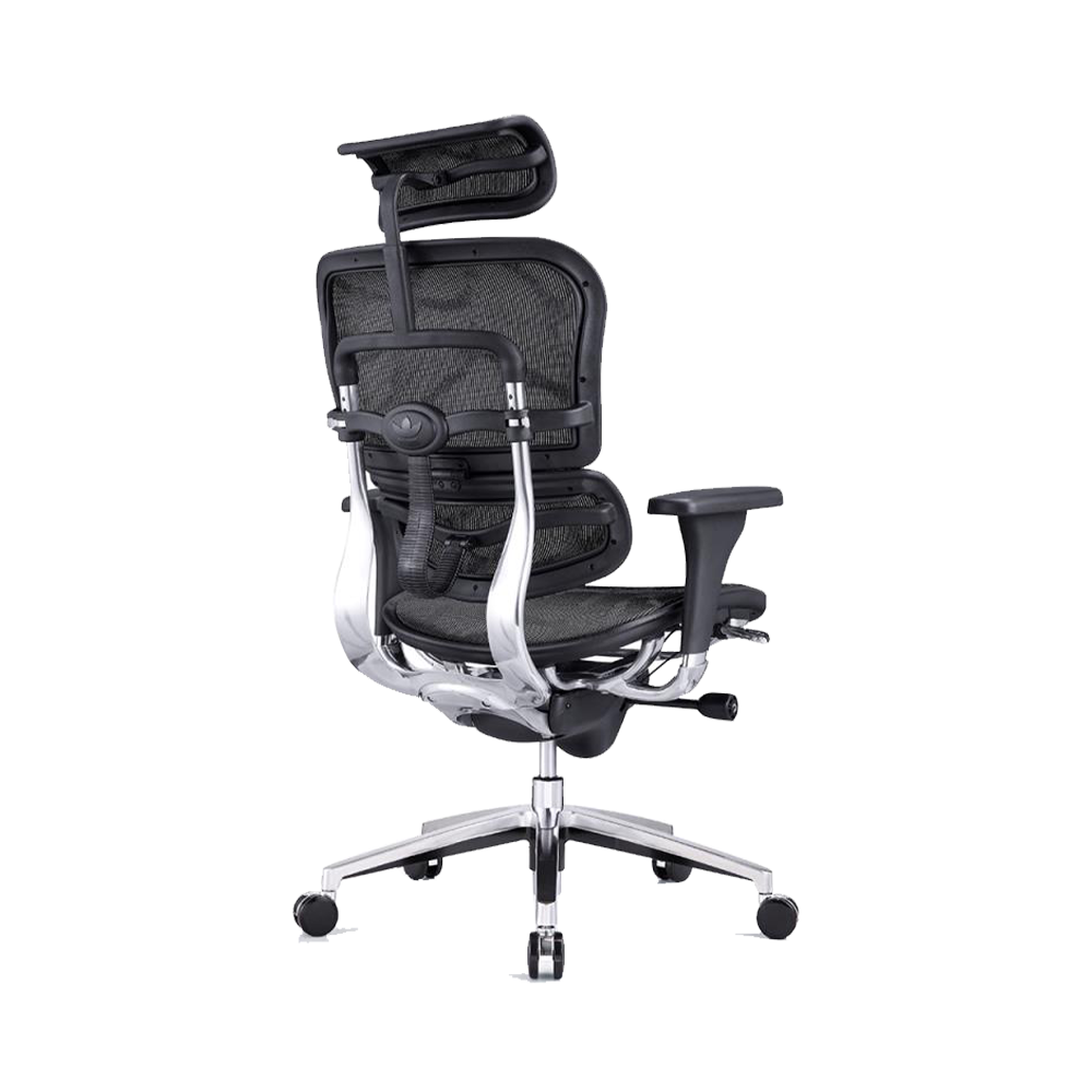 NEO CHAIR - NE 01
