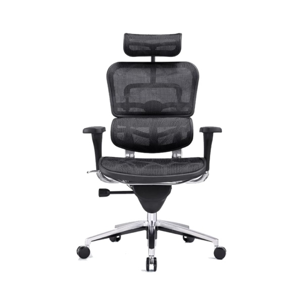 NEO CHAIR - NE 01