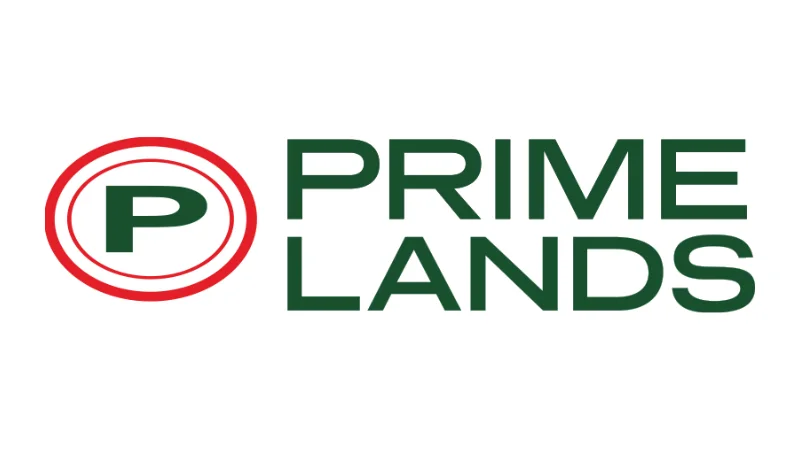 Leema - 2026-02-25T194418.374